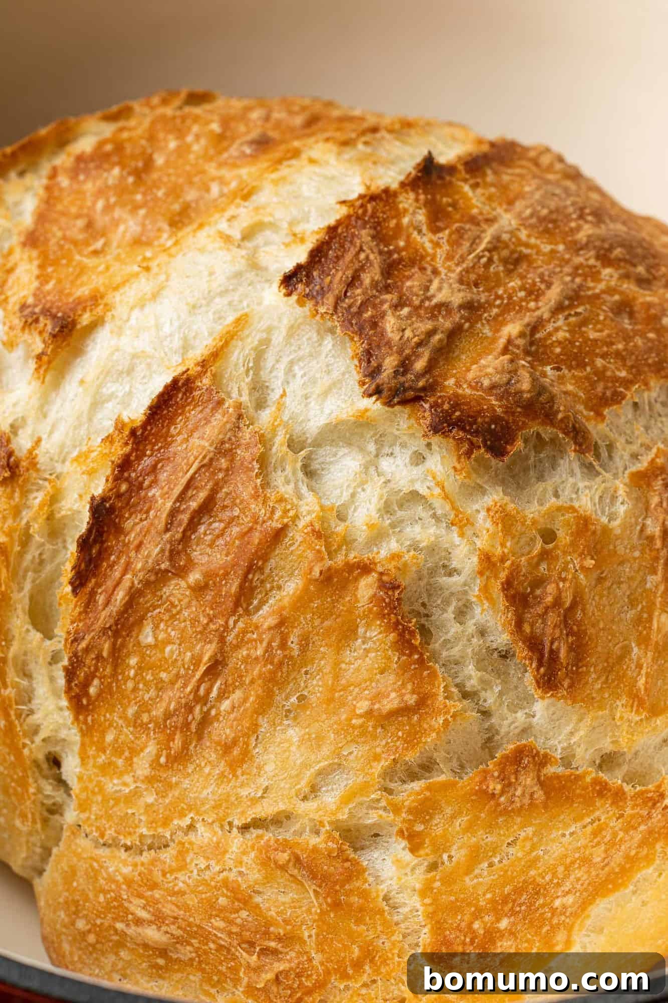 A freshly baked, golden-brown loaf of Dutch oven bread resting inside a red cast iron Dutch oven.