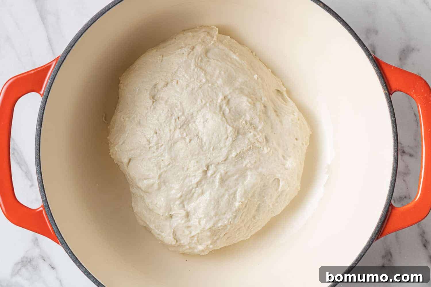 Unbaked bread dough, nestled on parchment paper, carefully placed into a hot red Dutch oven.