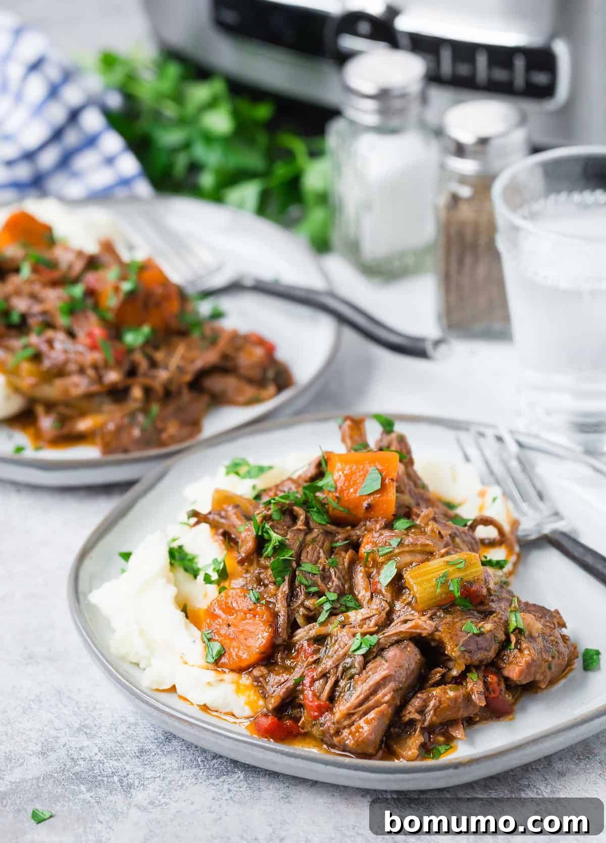 Two plates of shredded pot roast, with a slow cooker and seasonings in the background.