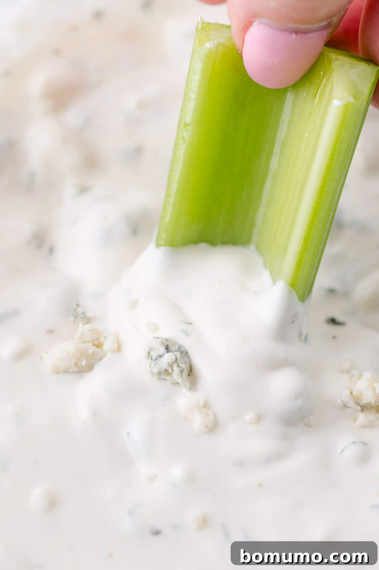 A crisp celery stick being dipped into a bowl of creamy blue cheese dressing, a classic pairing for buffalo-style dishes.