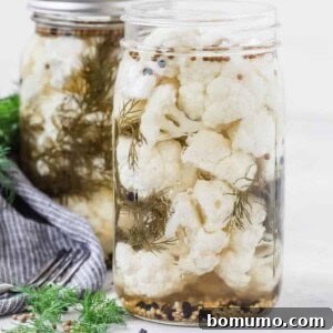 Two jars of cauliflower florets in pickling liquid with whole spices and dill.