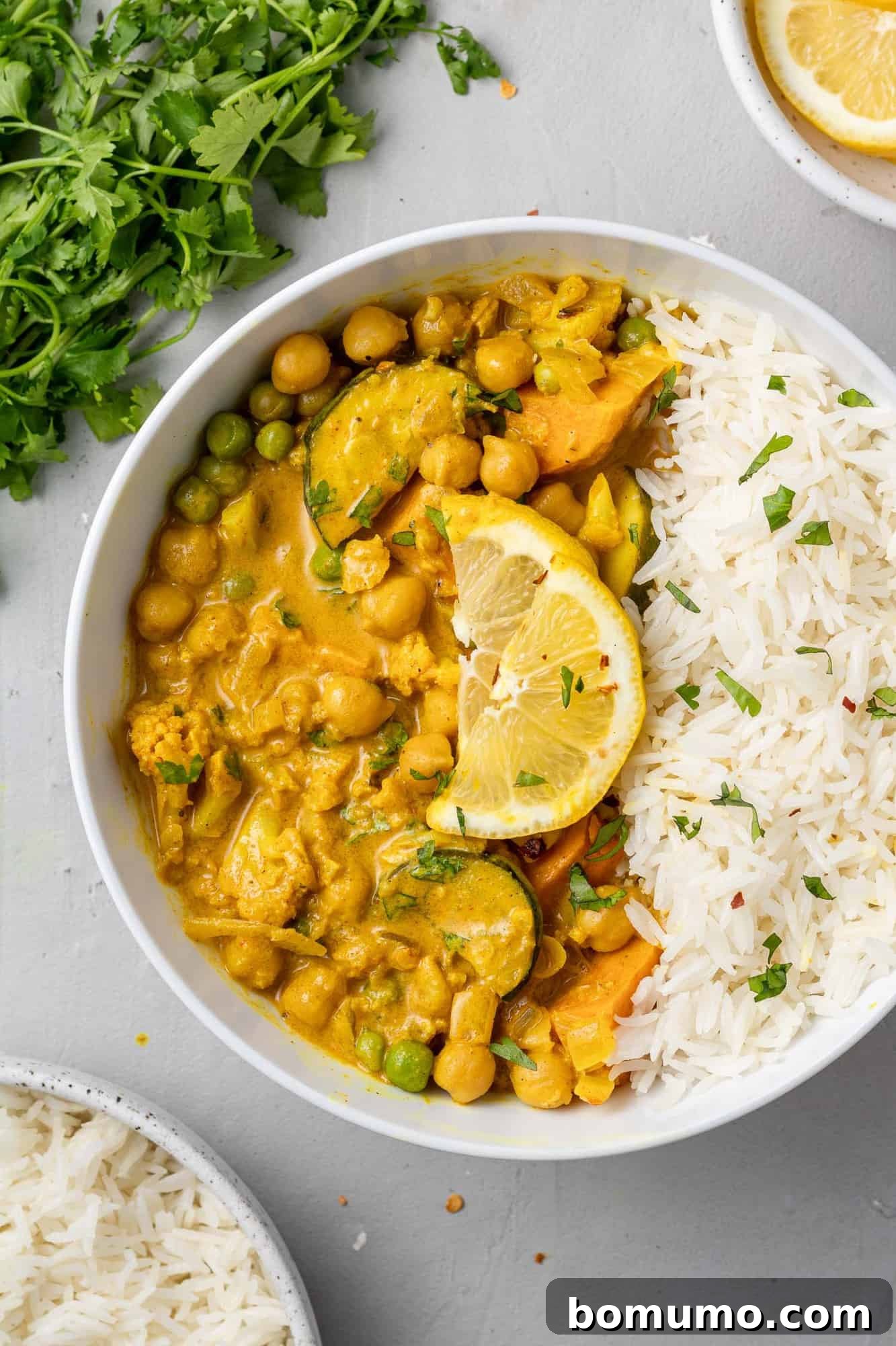 A vibrant vegetarian curry served in a bowl with fluffy rice, elegantly garnished with a fresh lemon slice, highlighting its rich texture and colors.