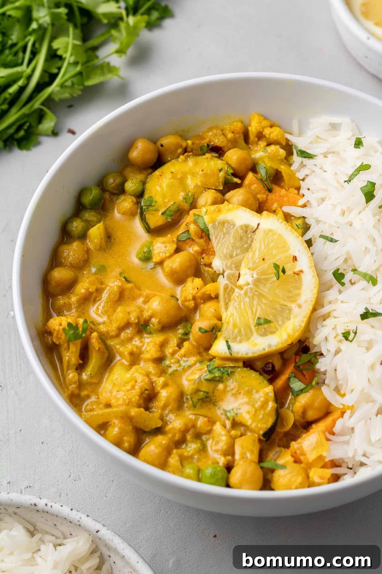 A beautifully plated chickpea curry served with a side of fluffy white rice in a pristine white bowl, garnished for freshness.