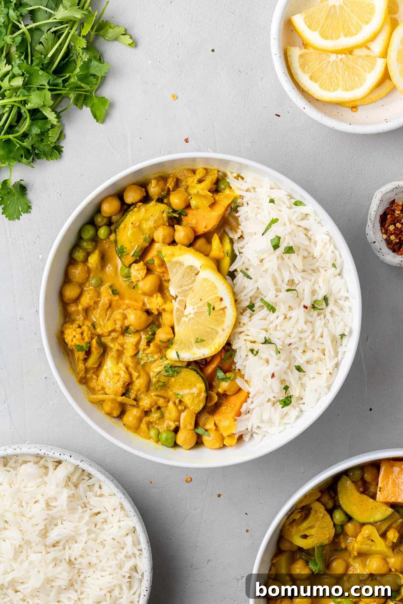 An overhead shot of a vibrant curry in a bowl, served with fluffy rice and artfully sprinkled with fresh cilantro, ready to be enjoyed.