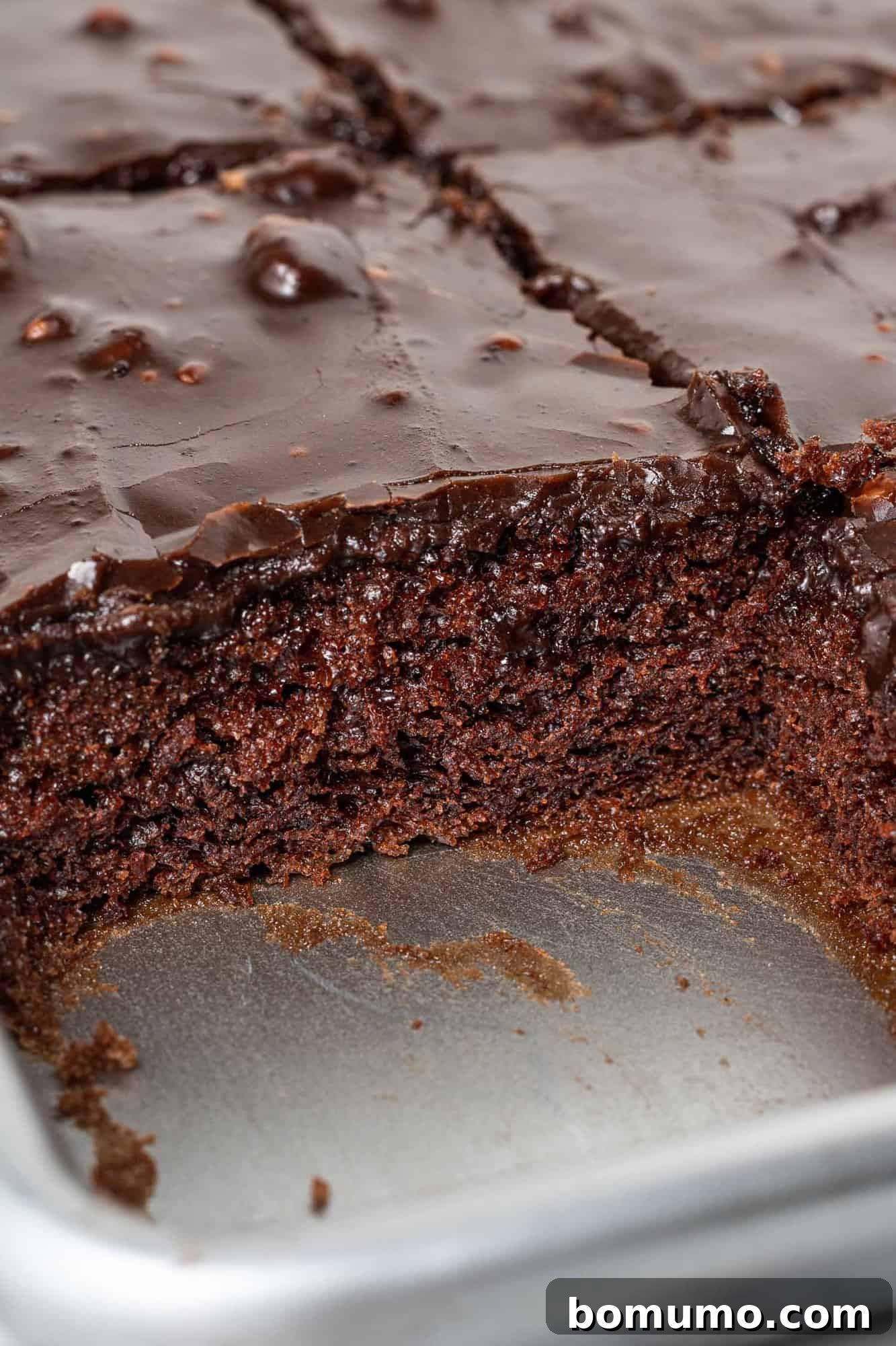 Texas-Sized Chocolate Delight 11 A close-up view of the freshly frosted Texas Sheet Cake, showing the smooth, rich chocolate frosting and the delightful texture of the cake underneath.