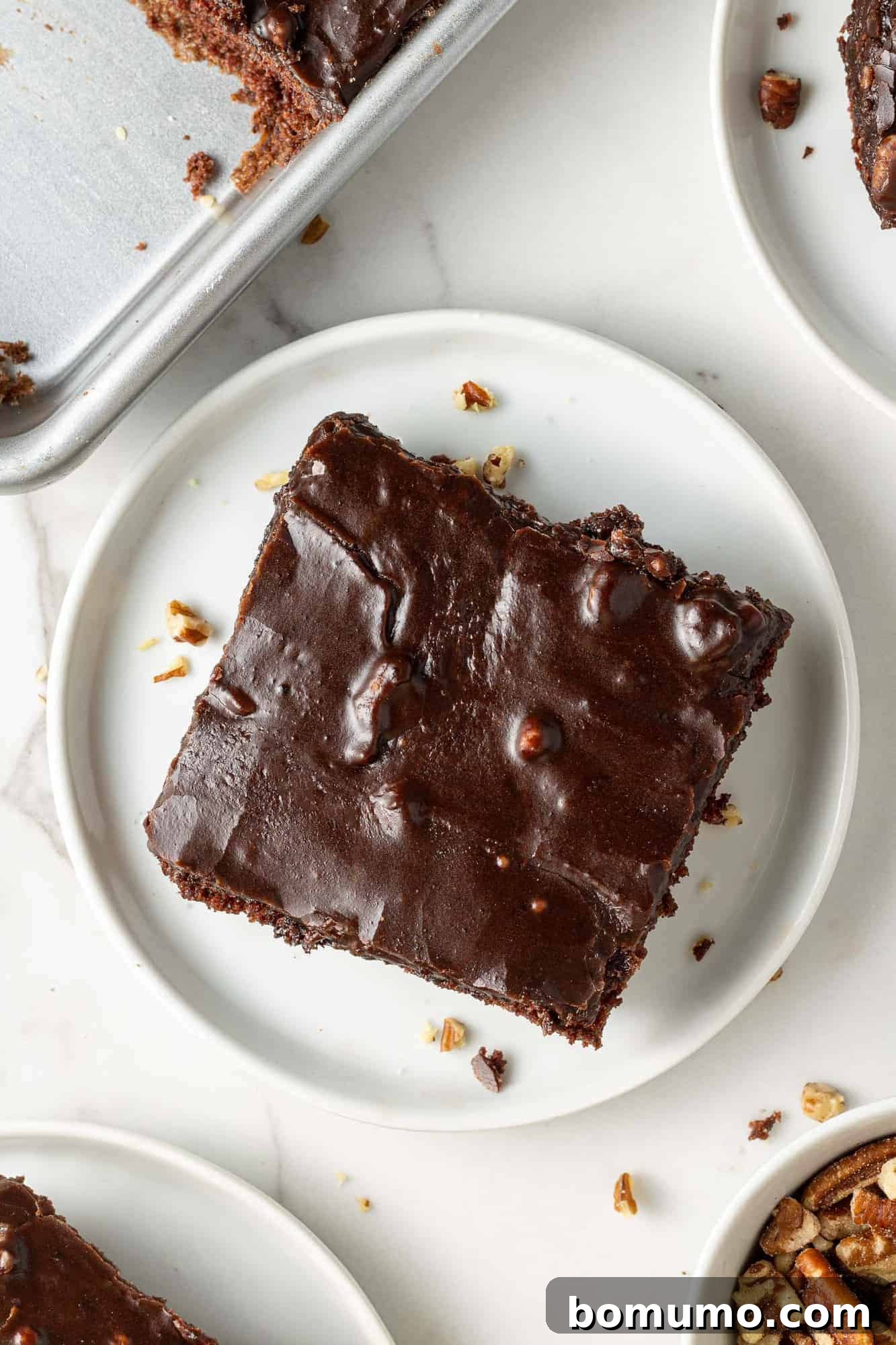 Texas-Sized Chocolate Delight 3 An overhead view of a perfect square slice of Texas Sheet Cake, showcasing its thin, moist texture and glossy chocolate frosting with pecan pieces.