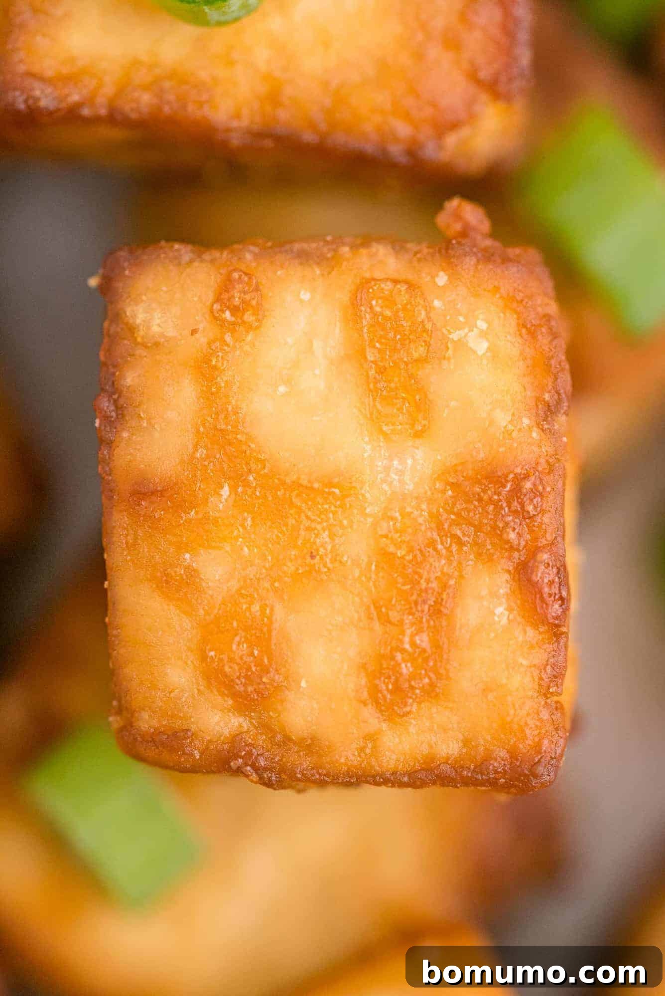Very close up view of crispy cooked tofu.