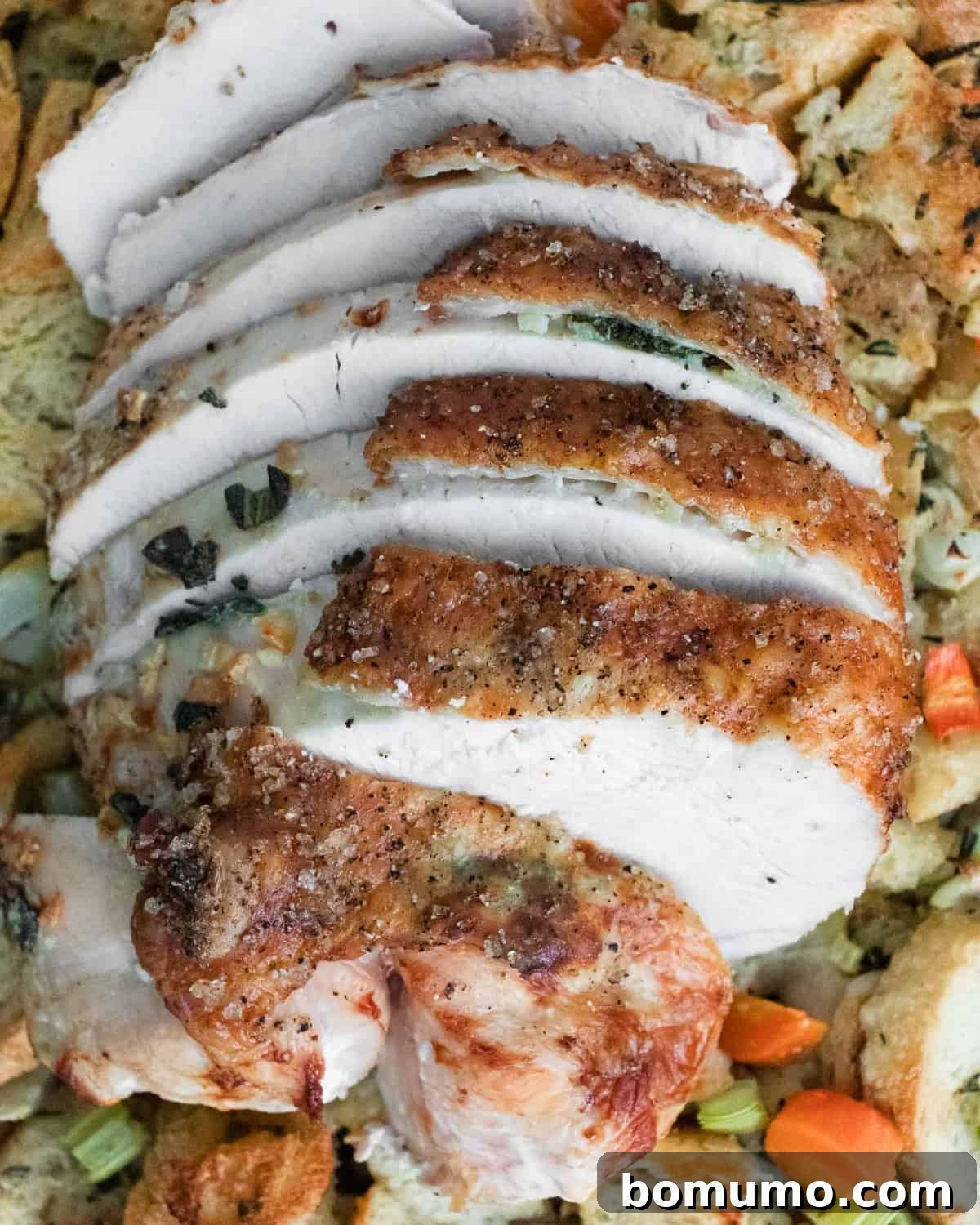 Close up view of sliced turkey breast.