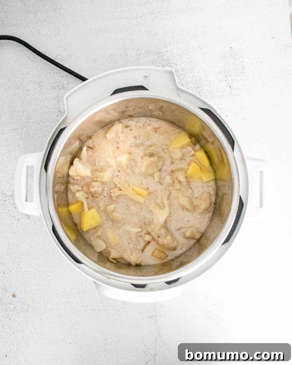 Soup before cooking, in Instant Pot.