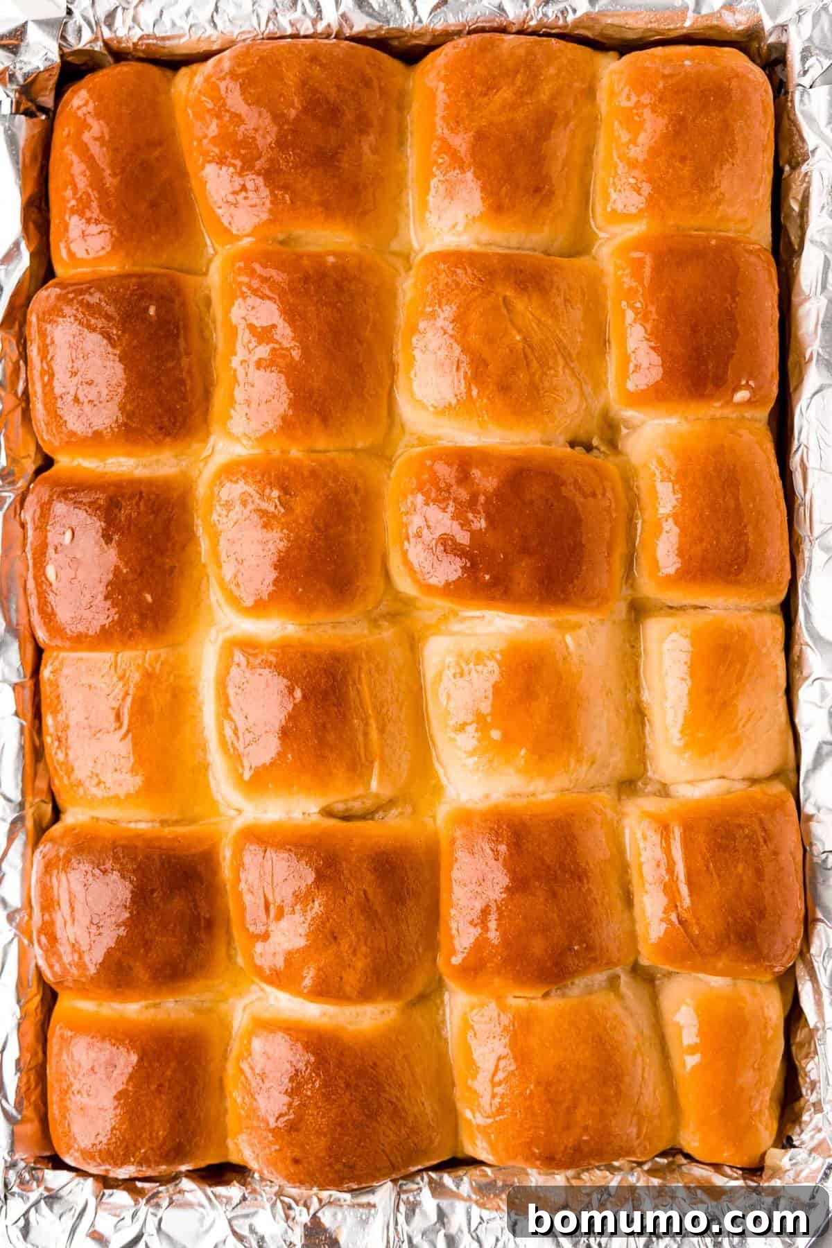 A baking pan filled with 24 freshly baked Parker House rolls, golden brown and glistening with butter.