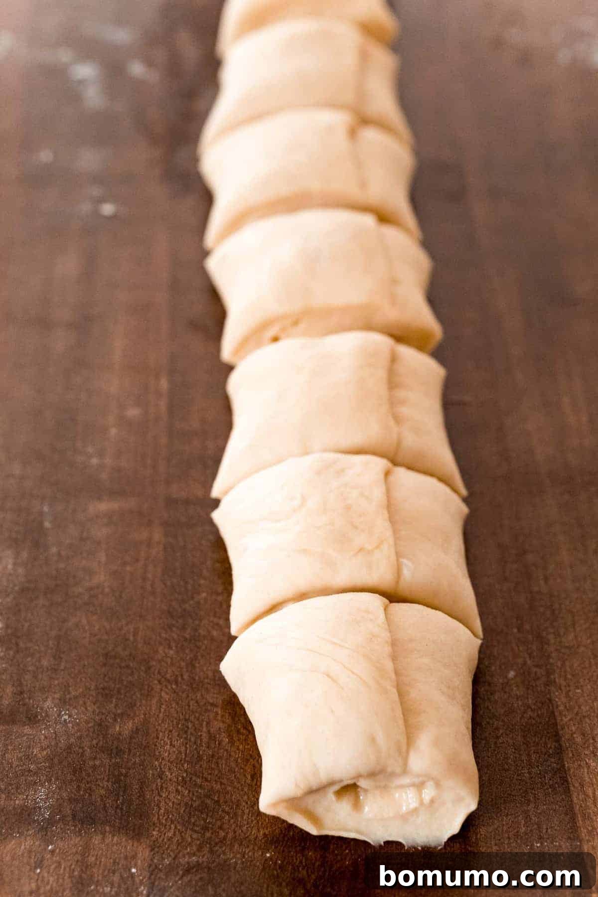 A rolled log of dough, neatly cut into equal-sized pieces, demonstrating precise preparation for uniform rolls.