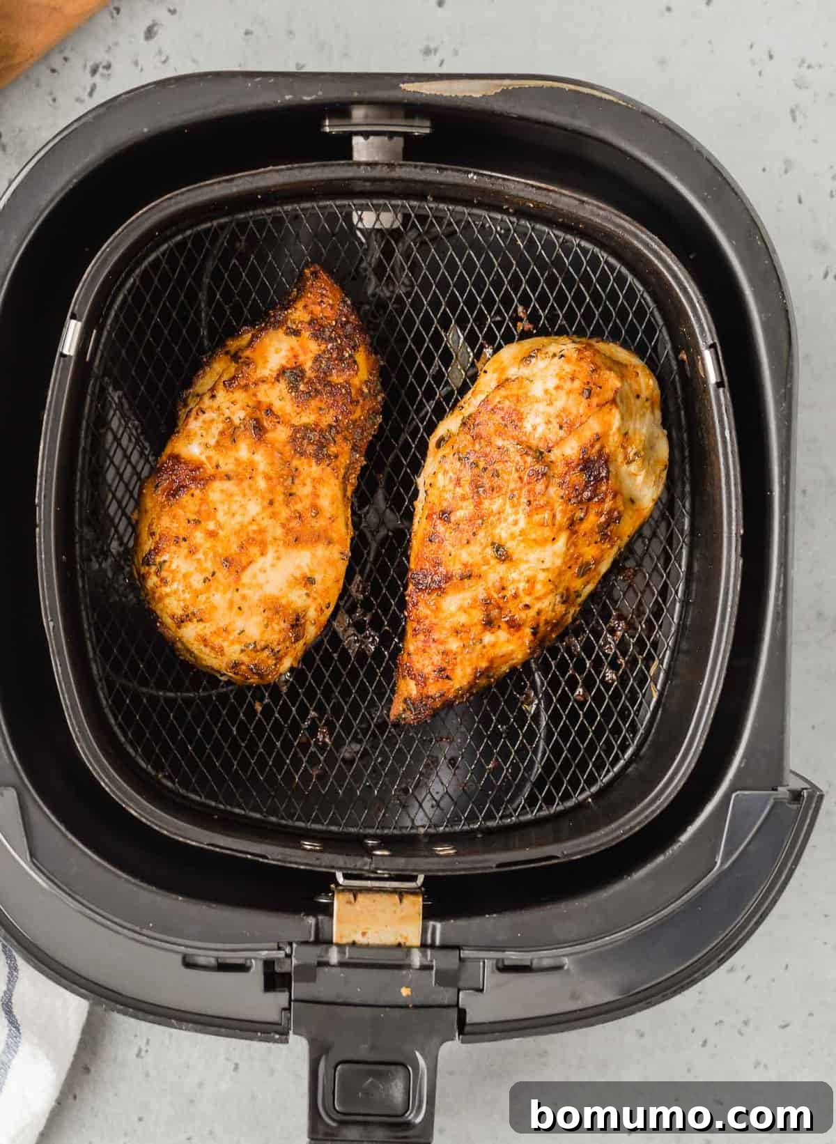 Two chicken breasts in an air fryer basket, overhead view.