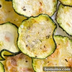 Pile of crispy zucchini slices, ready to be enjoyed as a healthy snack.
