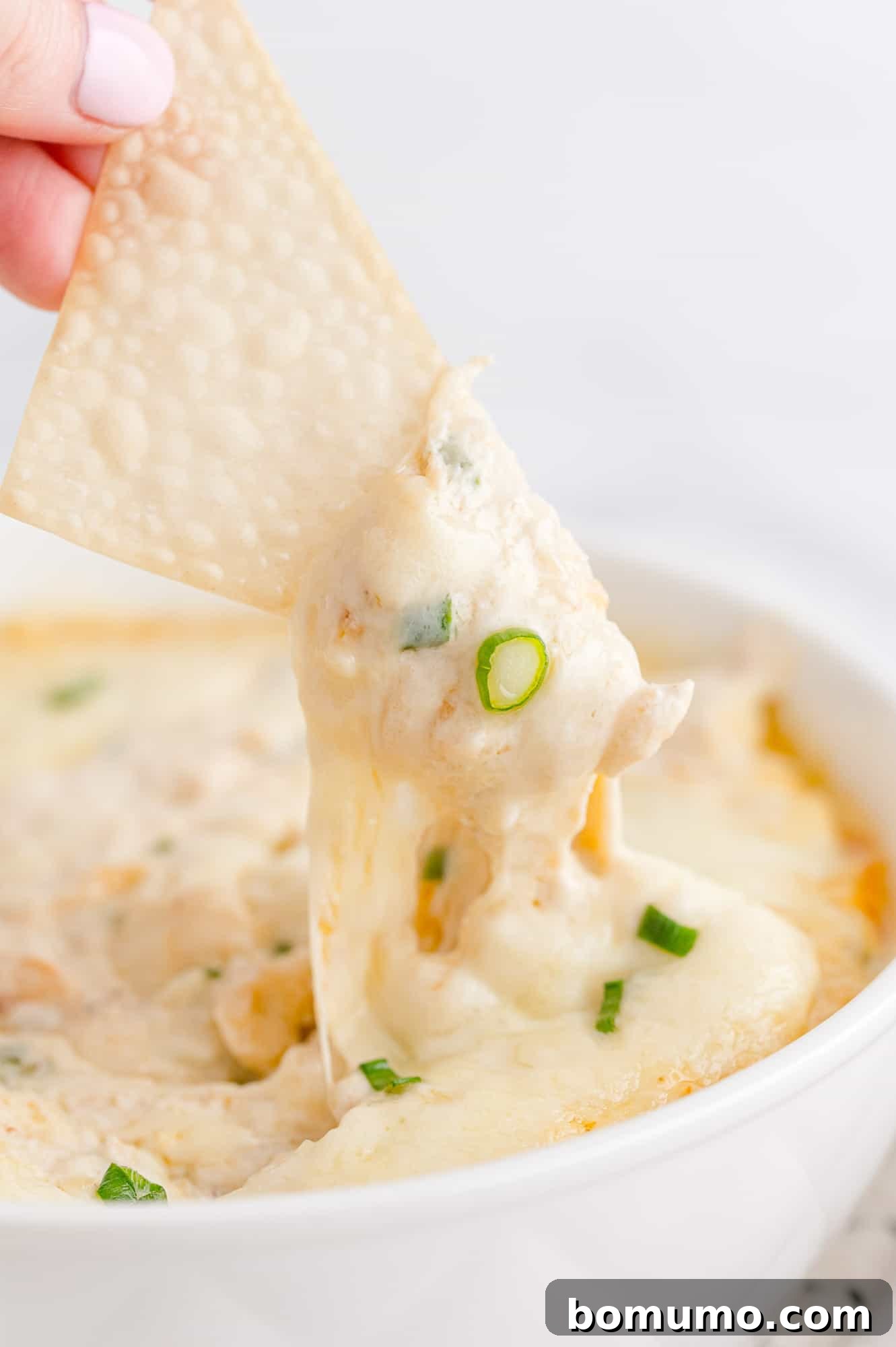 Crispy wonton being dipped into crab rangoon dip.