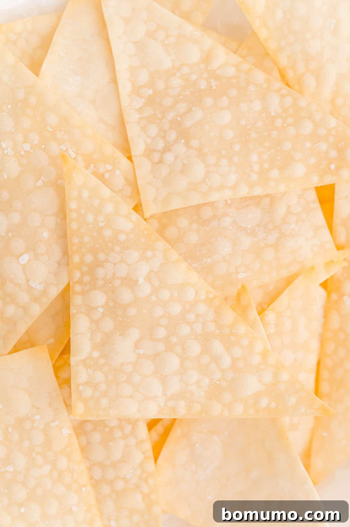 Close up of crispy wonton triangles.