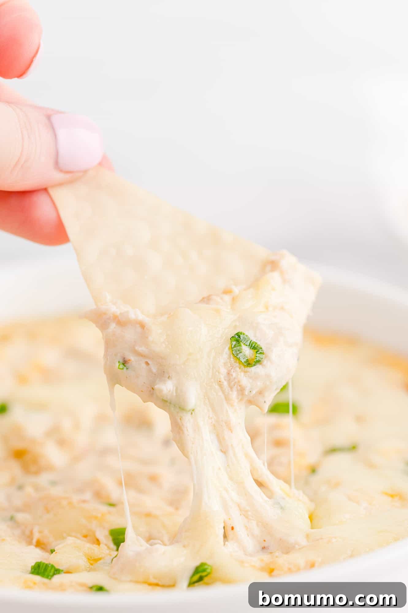 Crispy wonton being dipped into crab dip.