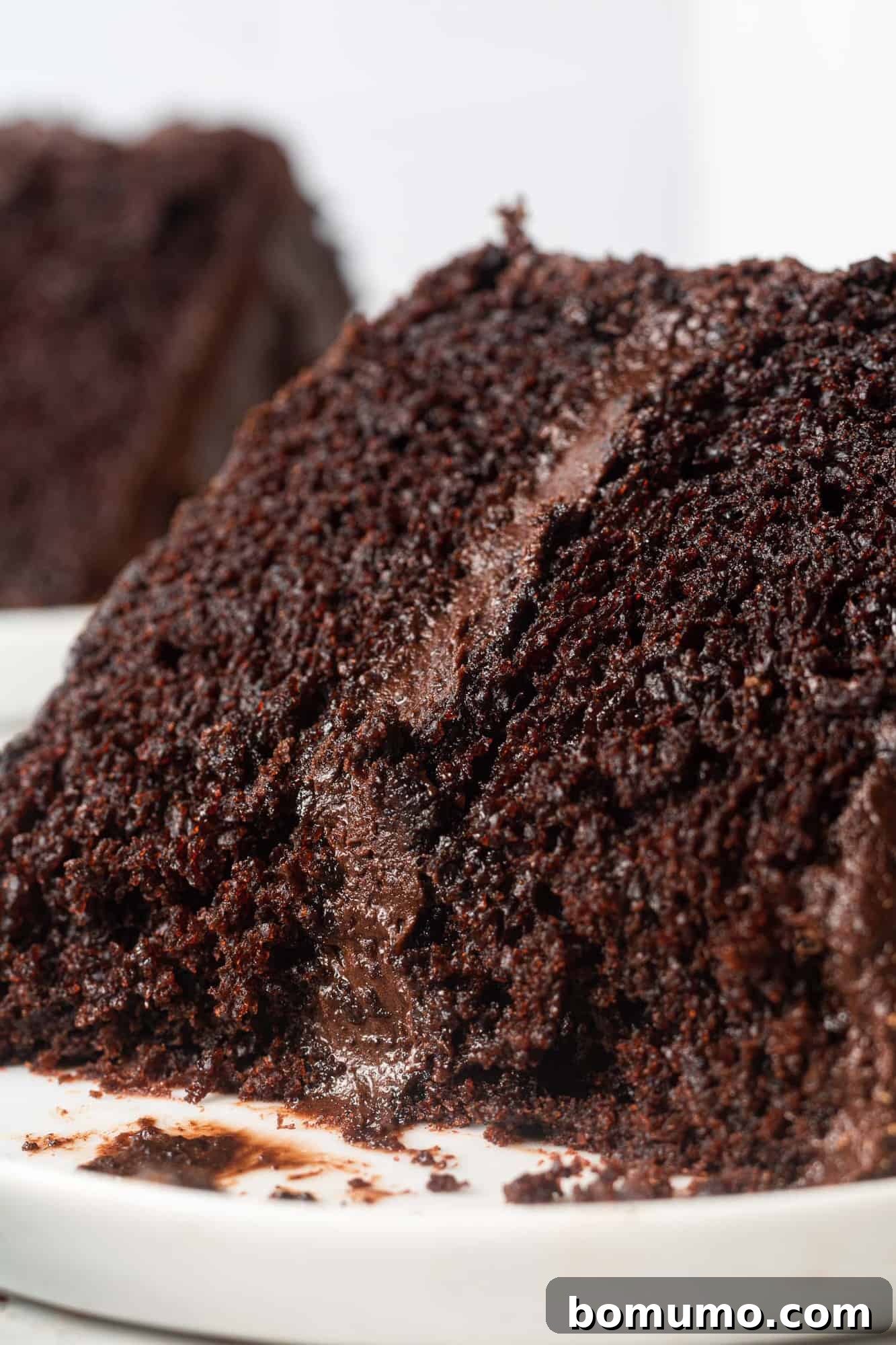 A delectable slice of chocolate cake on a pristine white plate, adorned with rich chocolate buttercream.