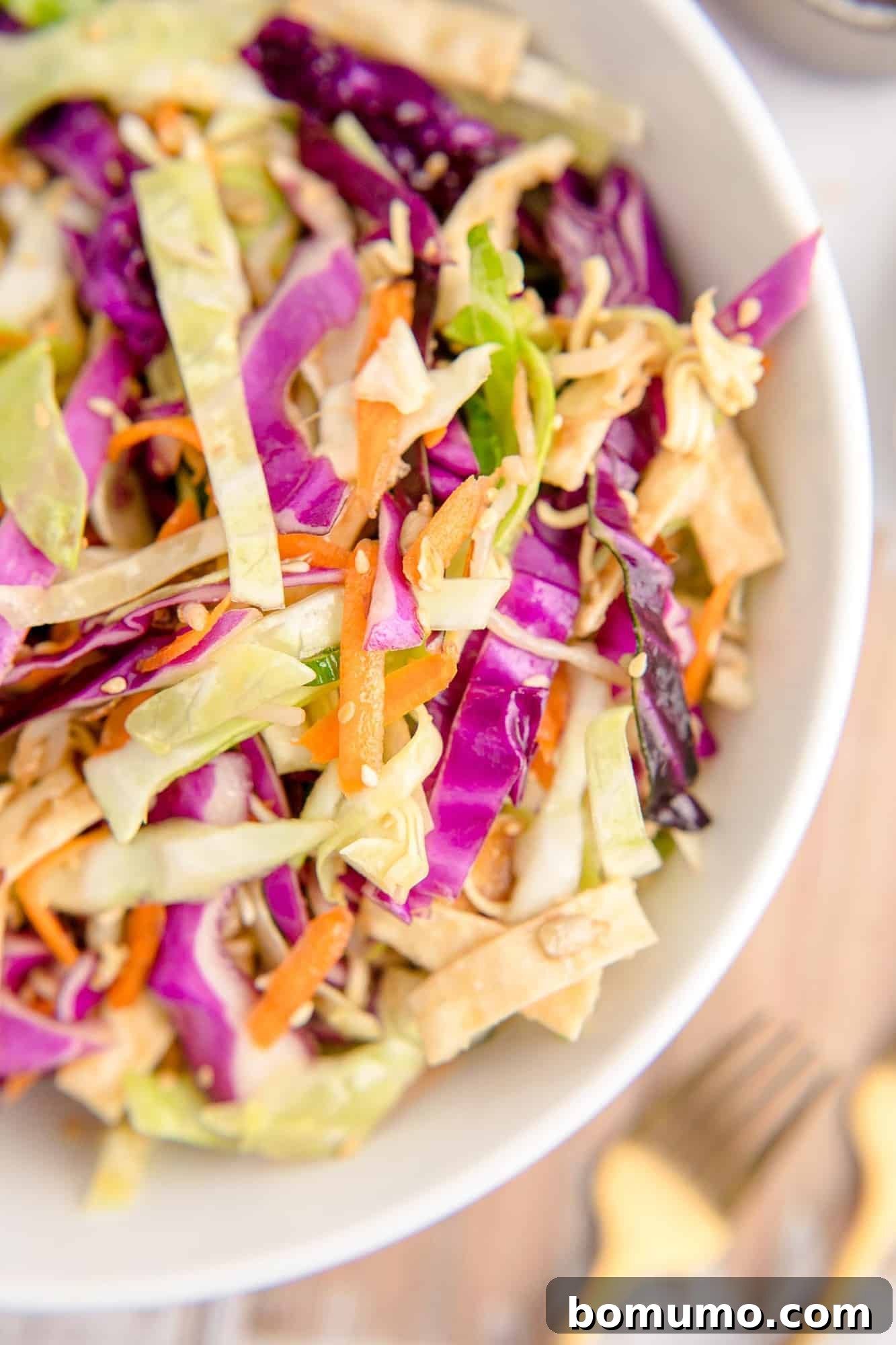 Close up of cabbage, wonton strips, carrots and more in a white bowl, showcasing the fresh, vibrant ingredients.