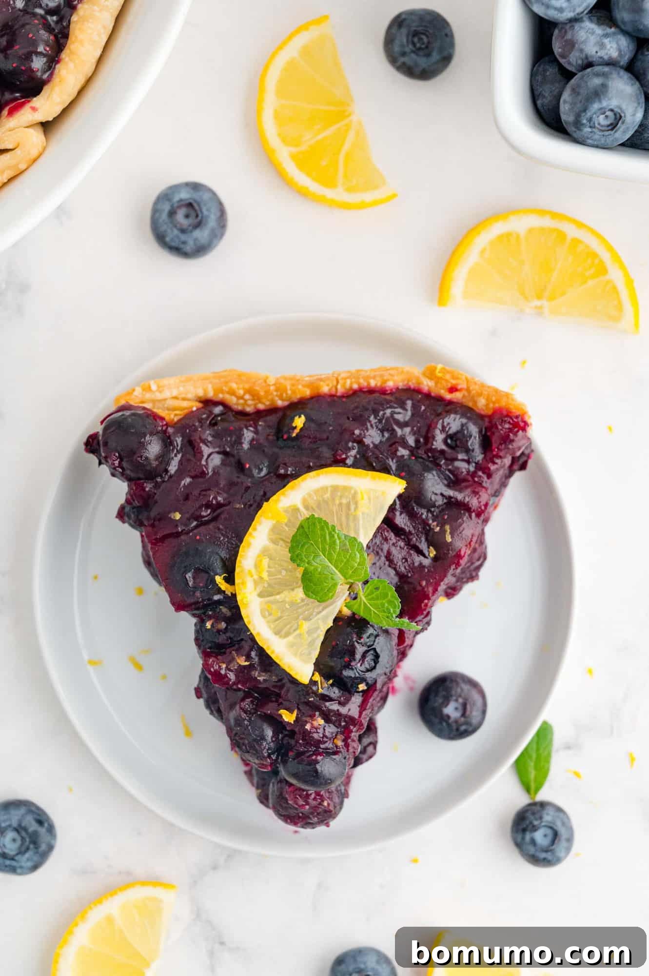 fresh-blueberry-pie-2 Slice of pie on a plate, garnished with lemon.