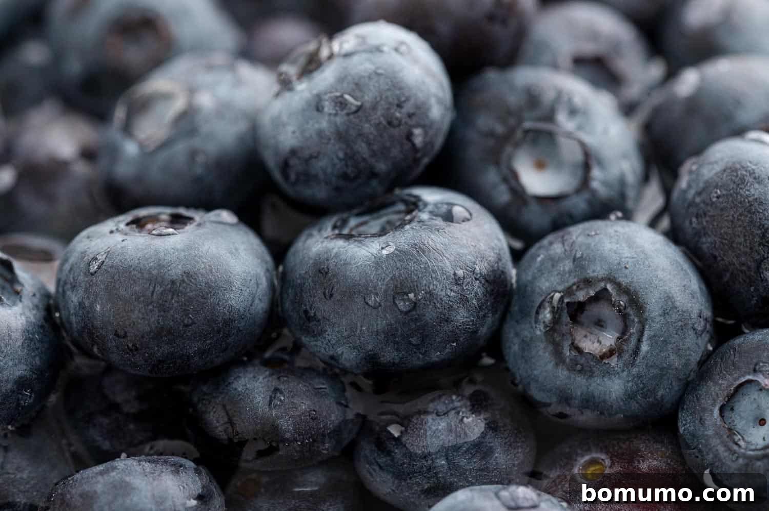 Fresh Blueberry Dream 2 Close up view of fresh blueberries.