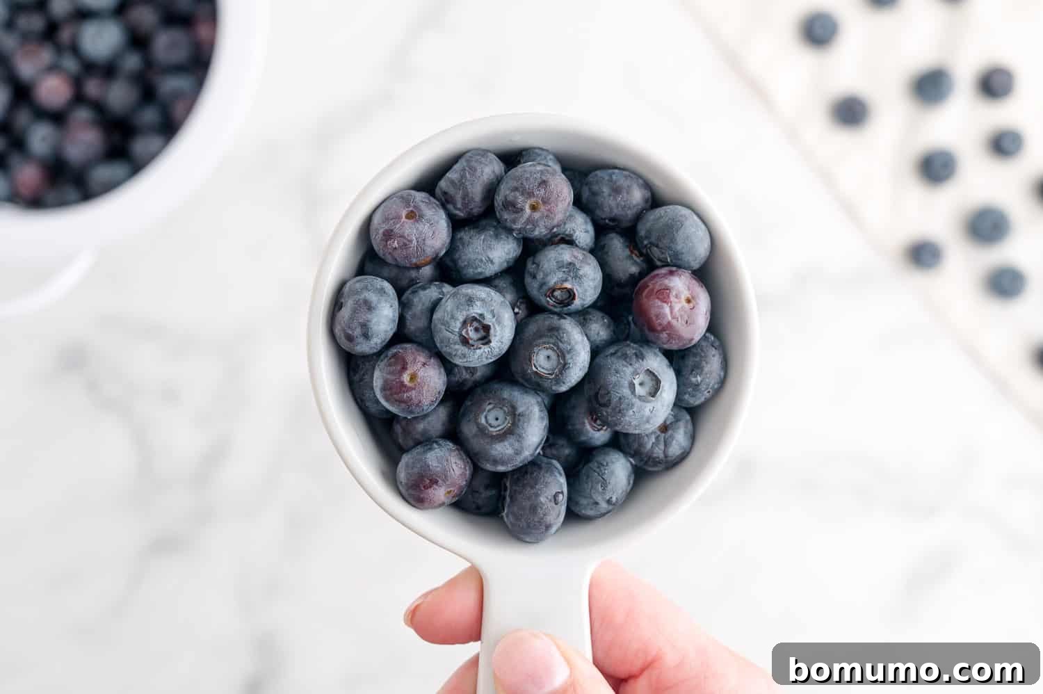 Fresh Blueberry Dream 4 Blueberries in a measuring cup.
