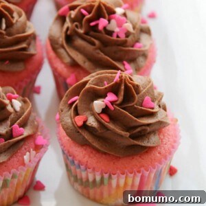 Delicious pink cupcakes with rich chocolate buttercream frosting