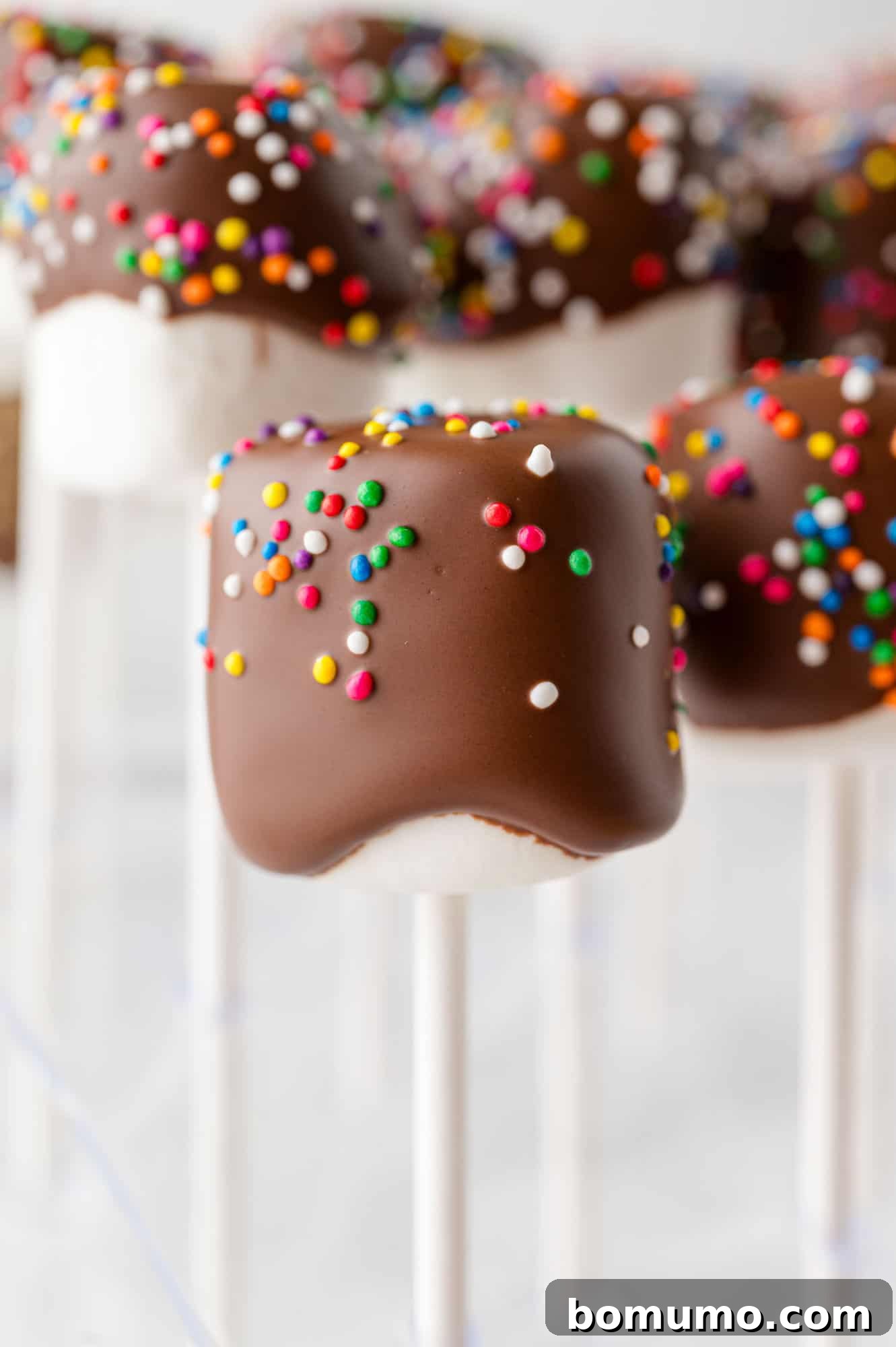 Velvet Dipped Mallows 2 Chocolate covered marshmallows on sticks, decorated with vibrant sprinkles, arranged beautifully on a serving tray.