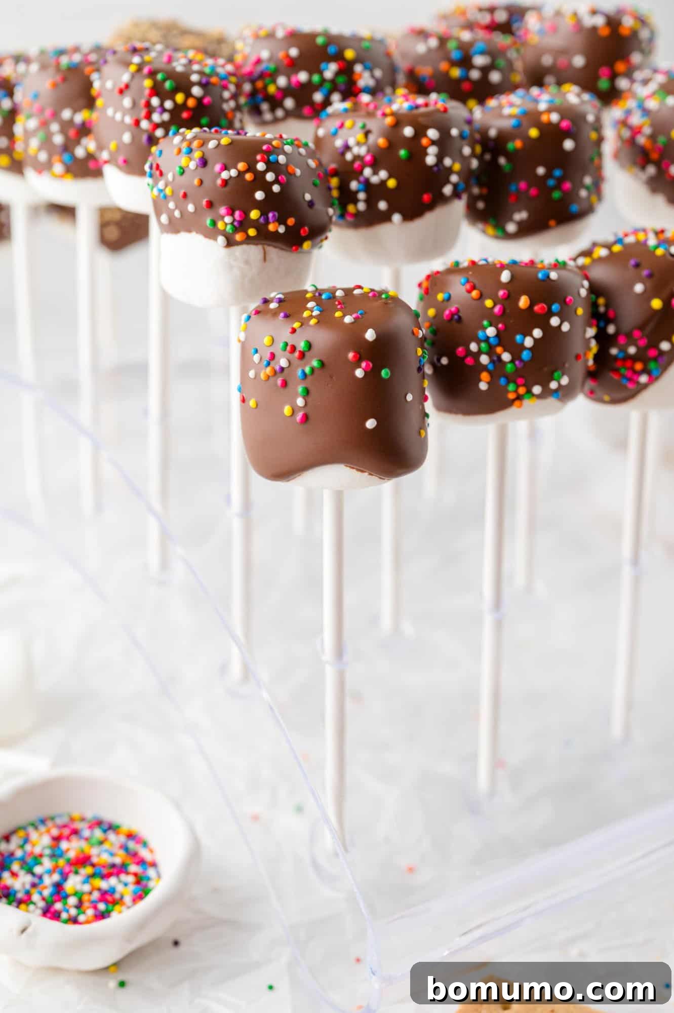 Velvet Dipped Mallows 14 Several chocolate covered marshmallows with various toppings standing upright in a cake pop stand, drying.