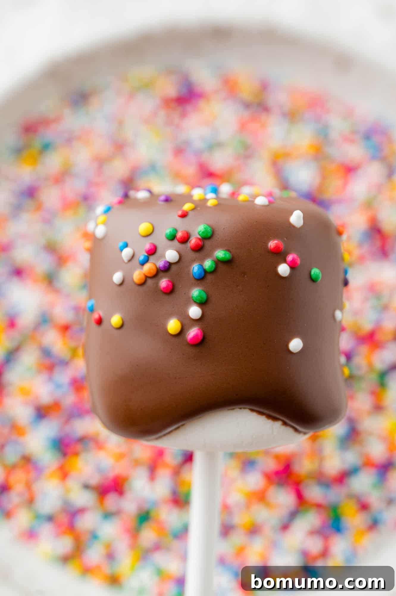 Velvet Dipped Mallows 15 A chocolate covered marshmallow with colorful sprinkles, held above a bowl of extra sprinkles.