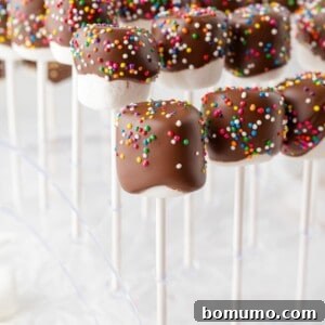 Chocolate covered marshmallows on sticks, with sprinkles.
