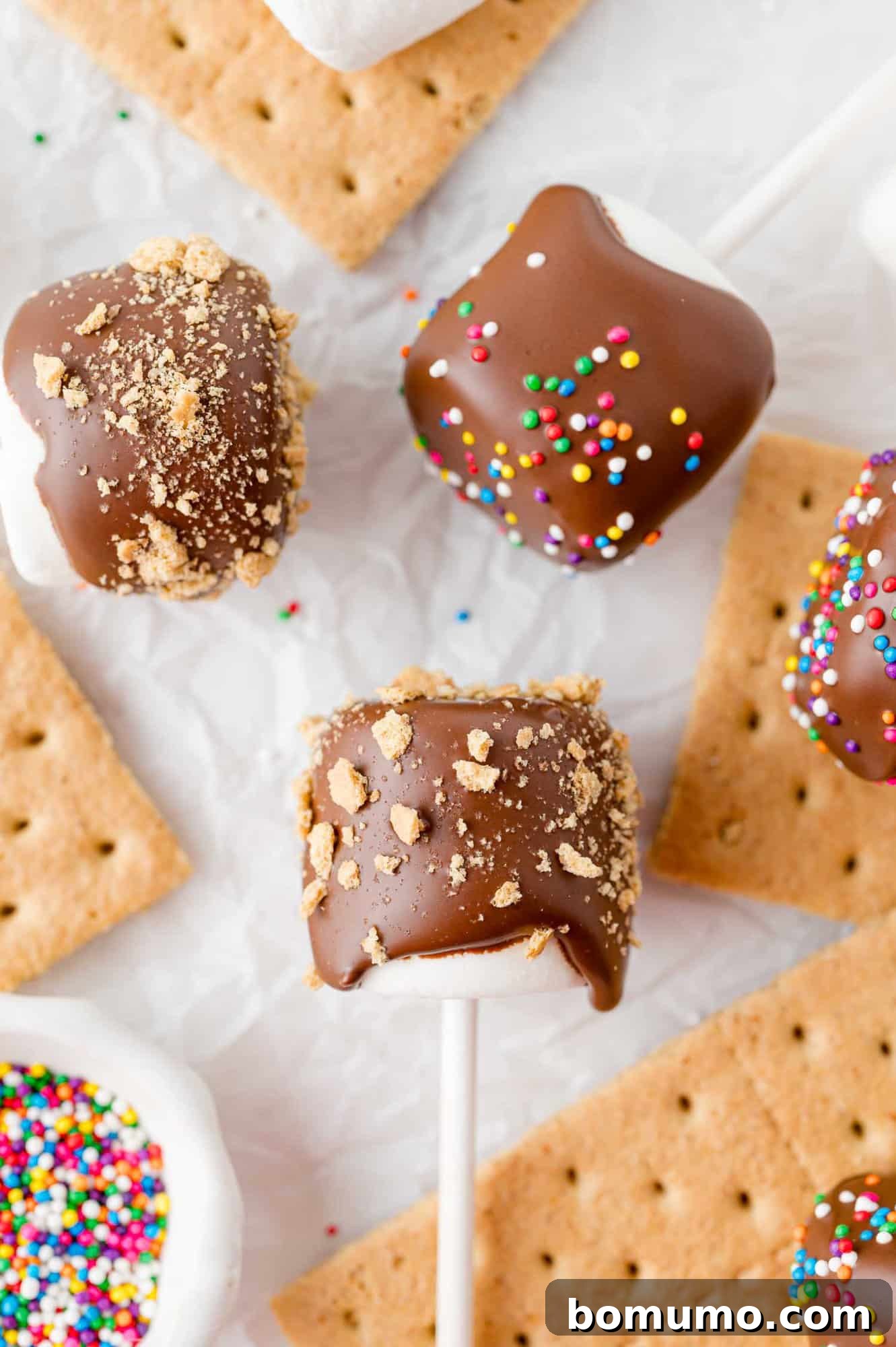 Velvet Dipped Mallows 5 Assortment of chocolate covered marshmallows, some with colorful sprinkles, others with graham cracker crumbs.