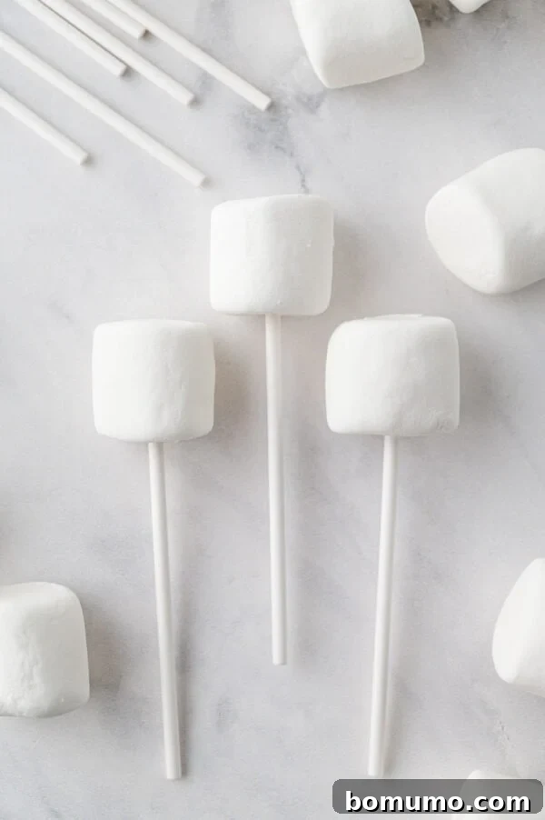 Velvet Dipped Mallows 6 Fluffy white marshmallows skewered onto lollipop sticks, ready for dipping.