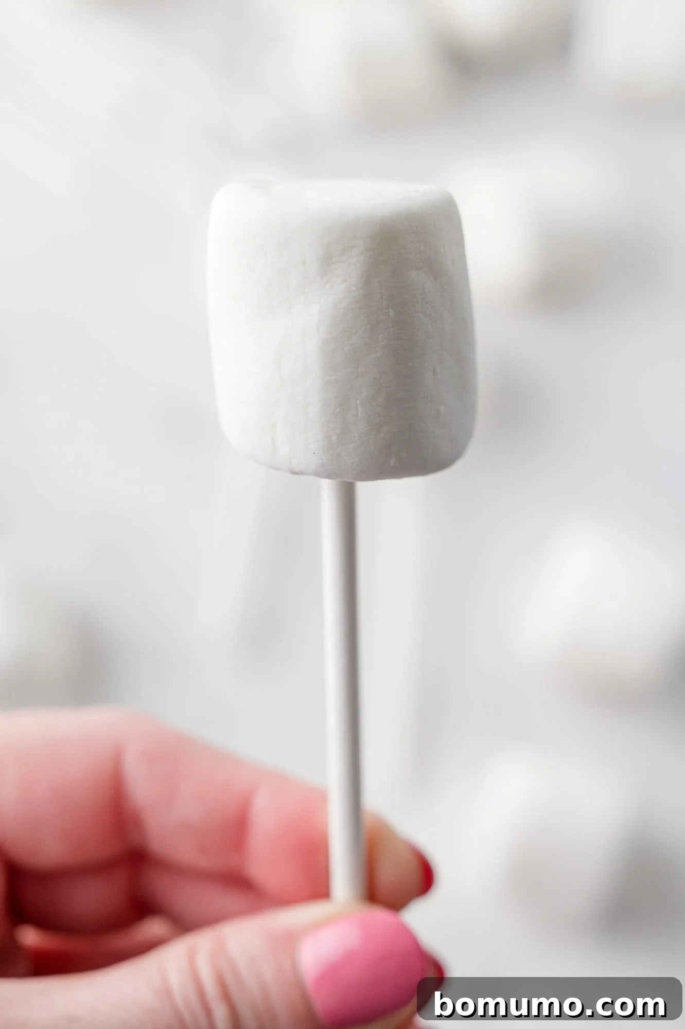 Velvet Dipped Mallows 7 Close-up of a single marshmallow on a lollipop stick.