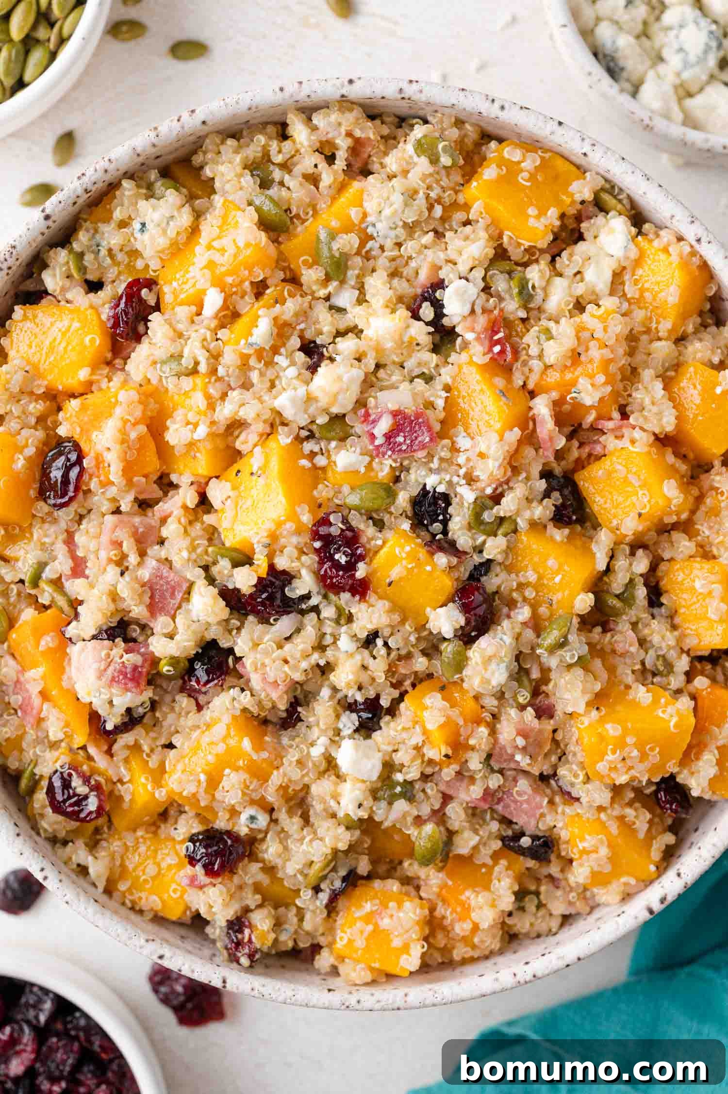 A beautifully presented bowl of autumn quinoa salad, featuring golden cubed roasted squash, vibrant red cranberries, creamy feta cheese, and crunchy pumpkin seeds, ready to be enjoyed.