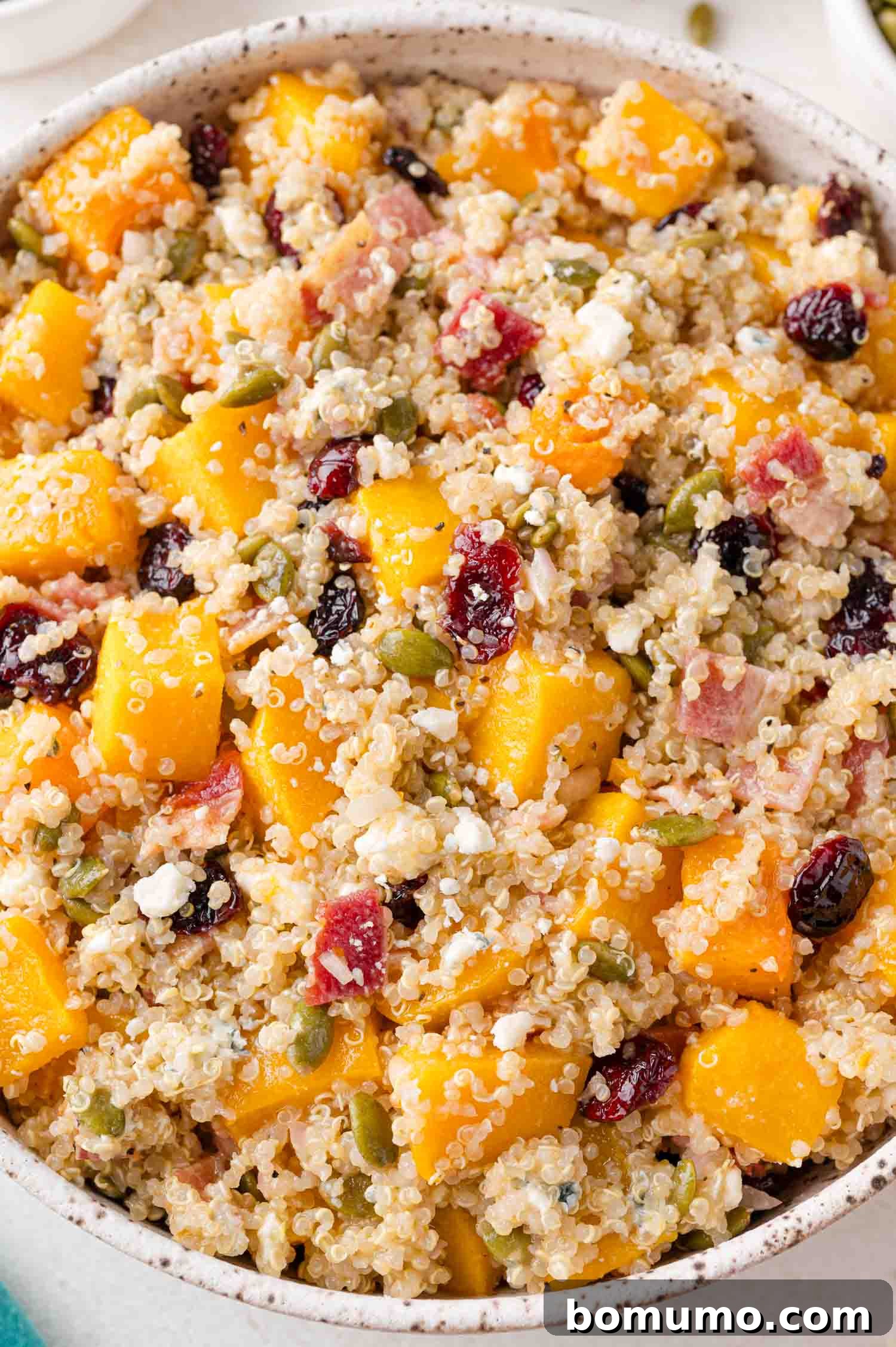 A vibrant bowl of Fall Quinoa Salad, richly composed with fluffy quinoa, savory chunks of roasted butternut squash, crispy bacon bits, sweet dried cranberries, crunchy pumpkin seeds, and tangy blue cheese crumbles, perfectly dressed and ready to be enjoyed.