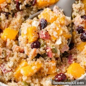 A spoonful of vibrant quinoa salad with succulent chunks of butternut squash, sweet dried cranberries, savory bacon bits, crunchy pepitas, and creamy crumbled cheese, perfectly nestled in a bowl.