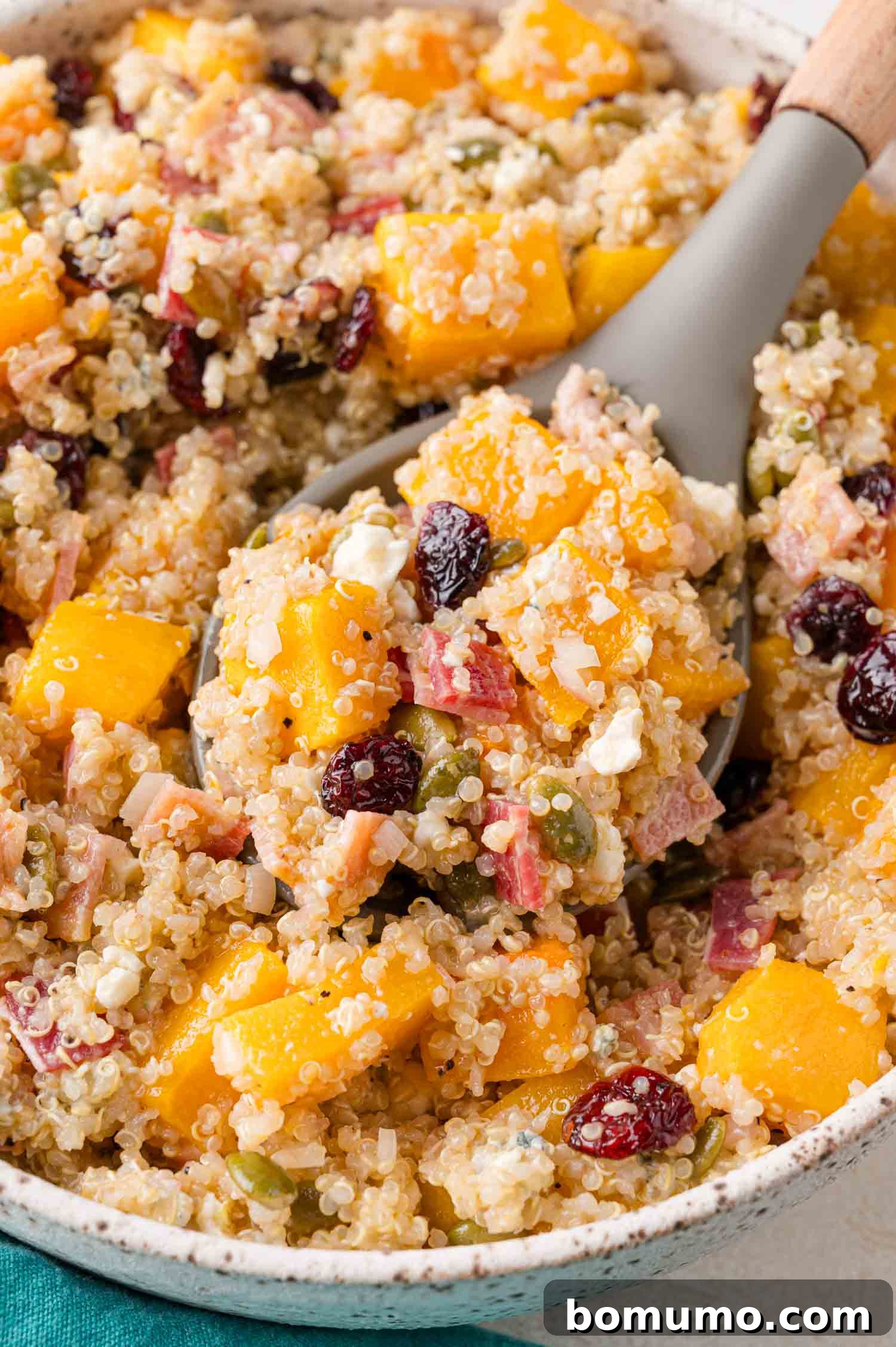 A close-up shot of the vibrant quinoa salad, showcasing perfectly roasted butternut squash, bright cranberries, crunchy pepitas, and fresh herbs, being scooped by a spoon, highlighting its inviting texture and readiness to serve.