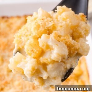 A close-up of a serving spoon holding a portion of cheesy, baked cauliflower and potato casserole with a golden breadcrumb topping, perfectly cooked and ready to enjoy.