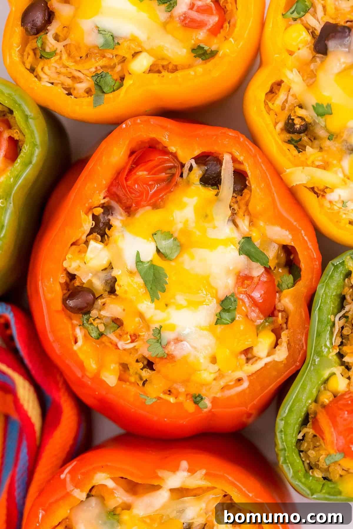 Close-up overhead view of colorful bell peppers stuffed with a vibrant mix of quinoa, chicken, black beans, tomatoes, and melted cheese, ready to be served.