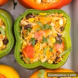 Overhead view of a green bell pepper stuffed with quinoa, chicken, black beans and more, garnished with fresh cilantro.