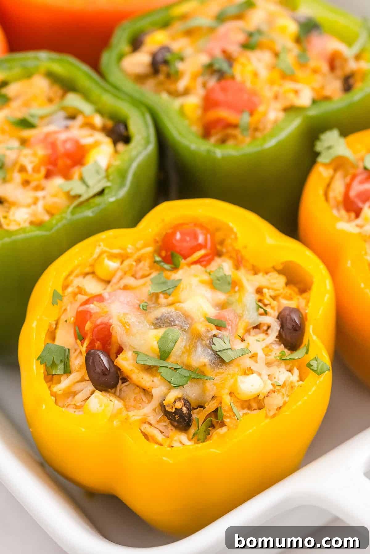 A single baked stuffed bell pepper, featuring a golden-brown melted cheese topping and visible filling, nestled in a baking dish with others, ready to be enjoyed.