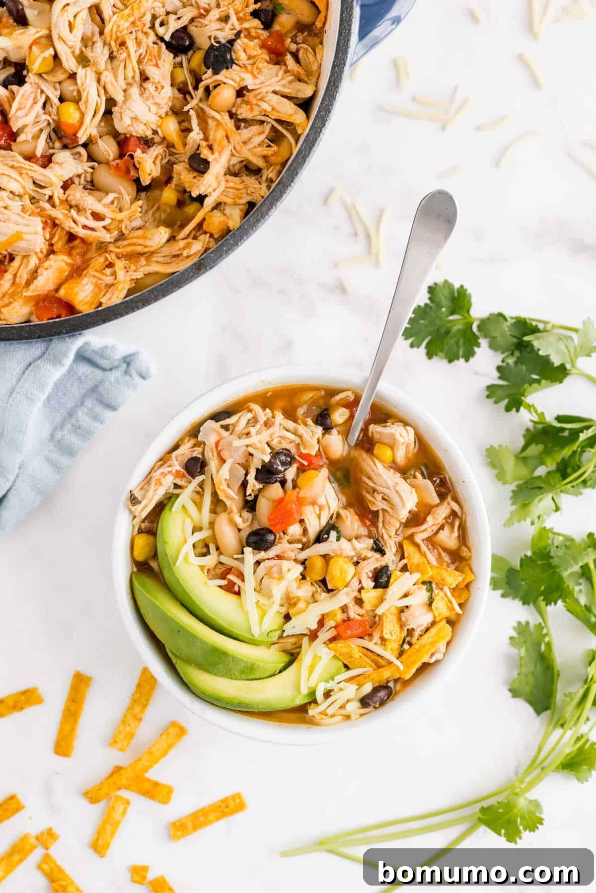 White chili in a bowl and in a pot, with fresh cilantro and tortilla strips.