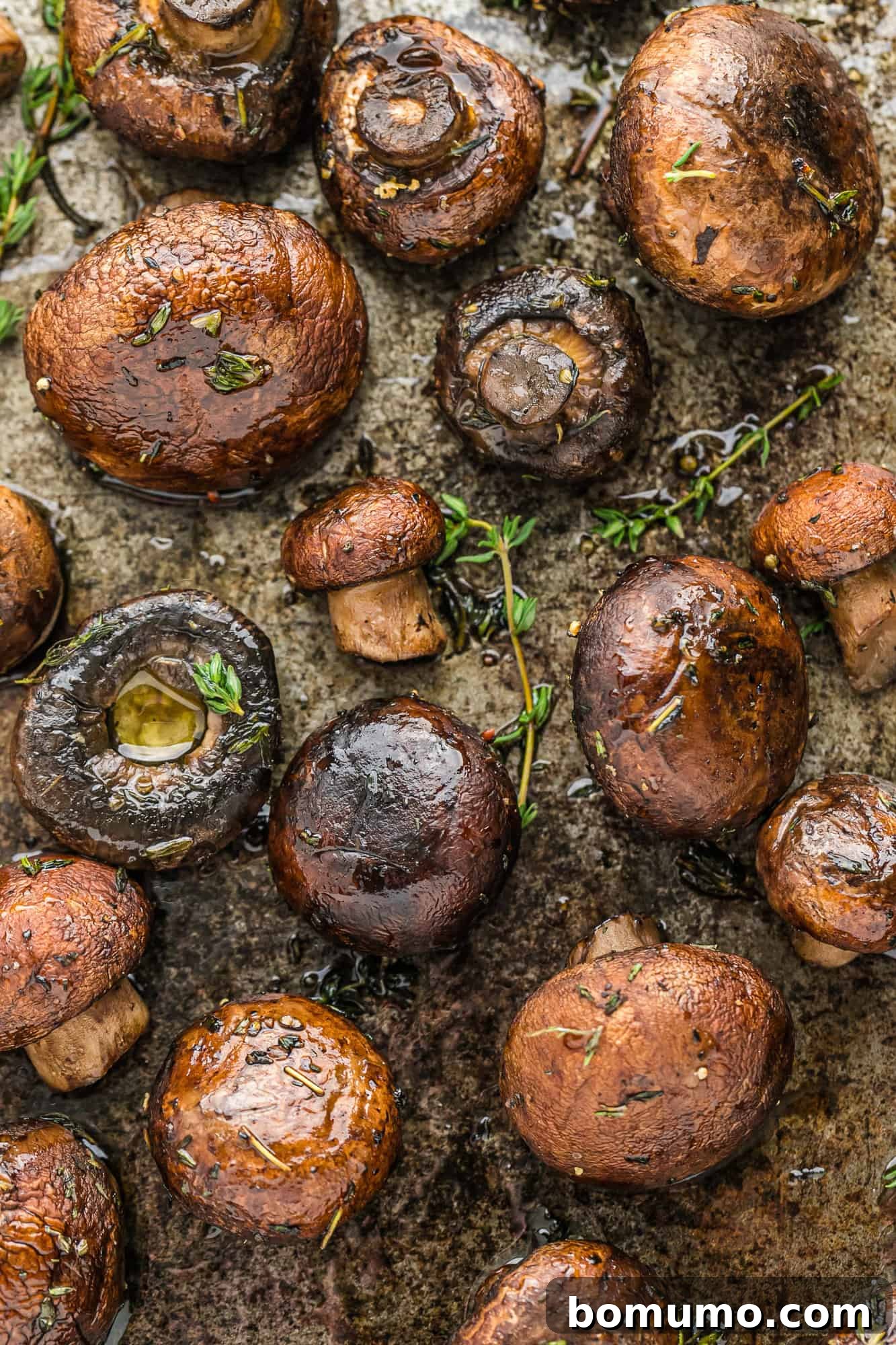 Umami Roasted Mushrooms 2 Perfectly roasted mushrooms garnished with fresh thyme on a baking sheet, glistening and ready to serve as a delicious side dish.