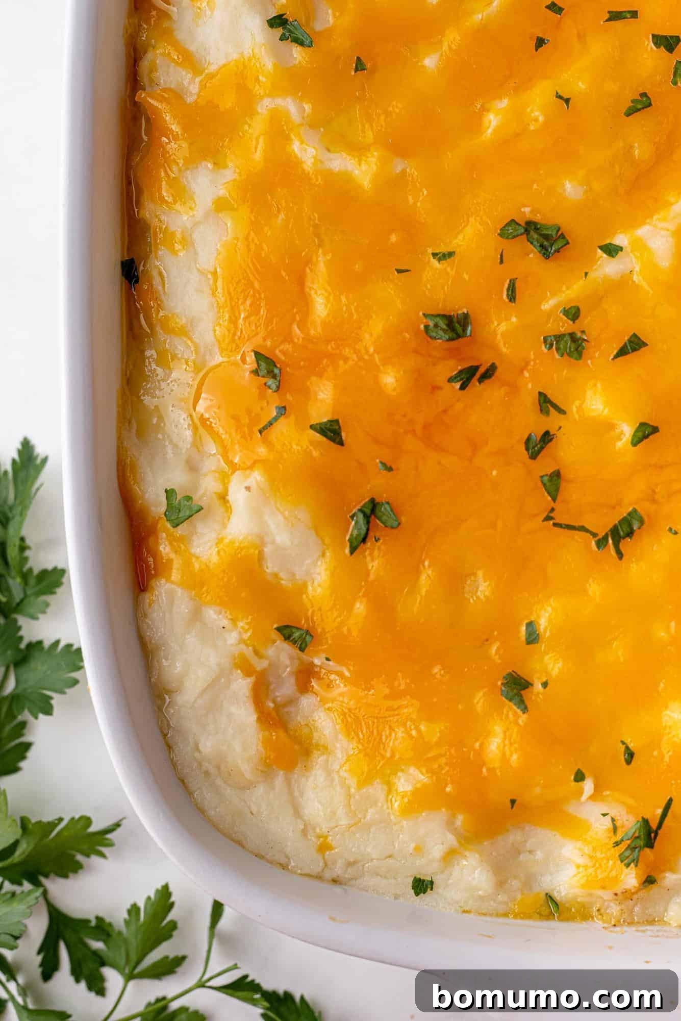A glorious, golden-brown baked shepherd's pie, fresh from the oven, its cheesy mashed potato topping beautifully melted, bubbly, and slightly crispy, indicating readiness to be served.