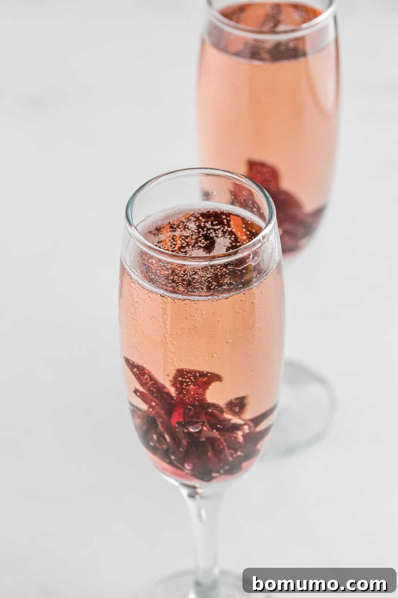 A single hibiscus mimosa in a champagne flute, perfectly garnished.
