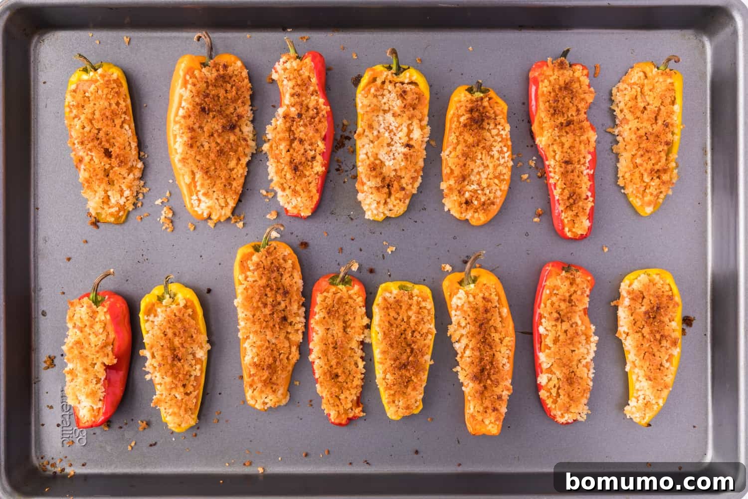 A baking sheet filled with perfectly baked Southwestern stuffed mini sweet peppers, featuring golden panko toppings and tender peppers.