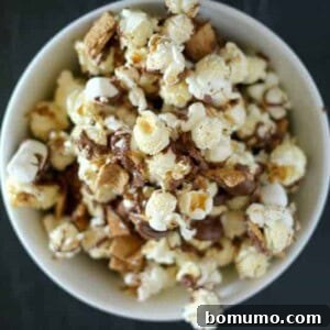 Overhead view of a round white bowl filled with s'mores popcorn, featuring chocolate-coated popcorn, mini marshmallows, and graham cracker pieces.