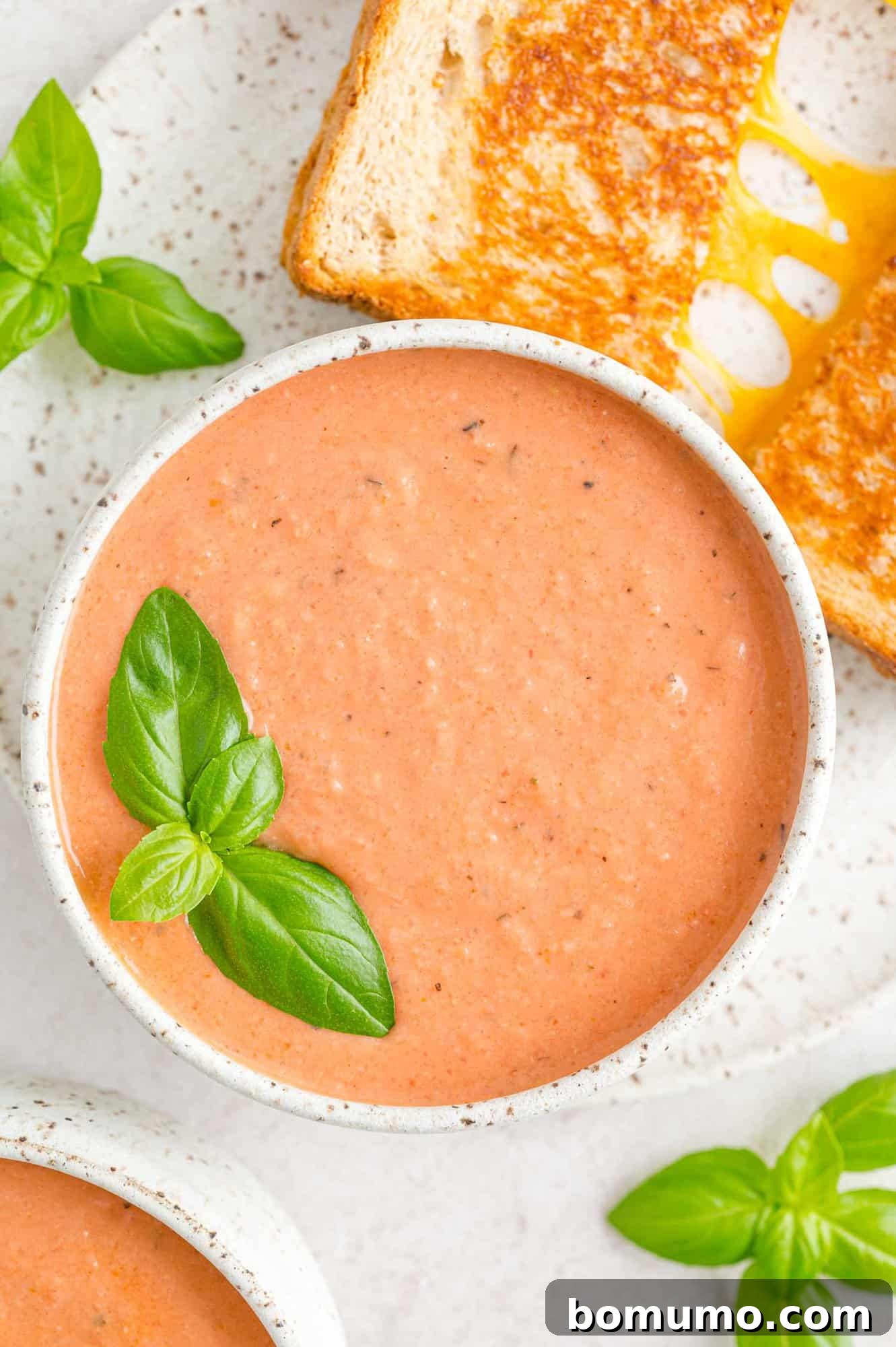 Tomato soup topped with basil.