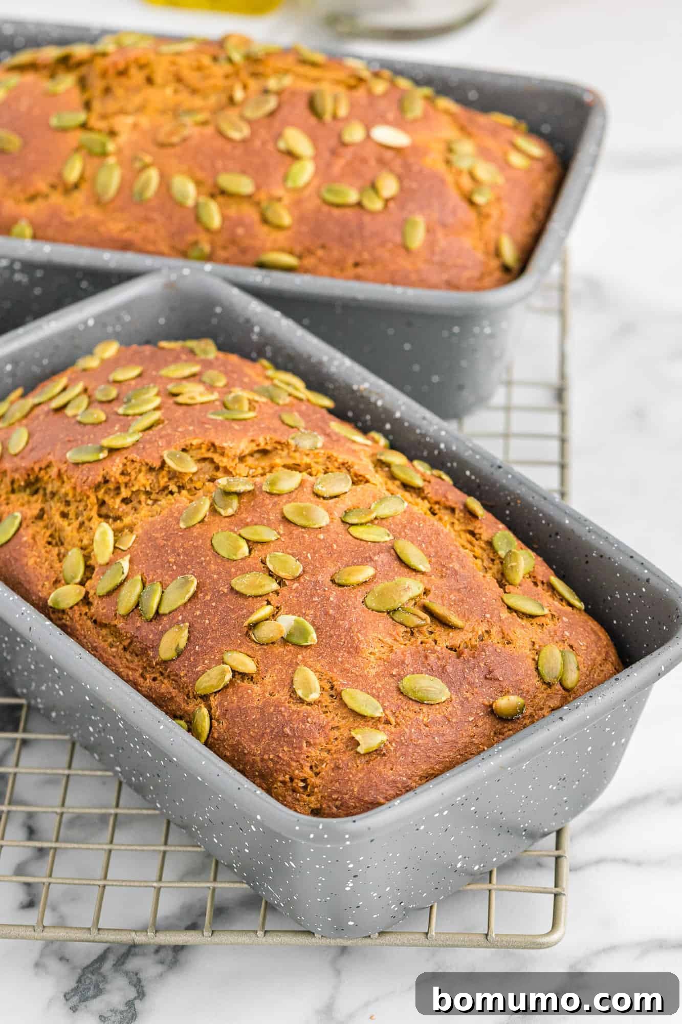 Two freshly baked loaves of healthy pumpkin bread resting in their loaf pans, just out of the oven.