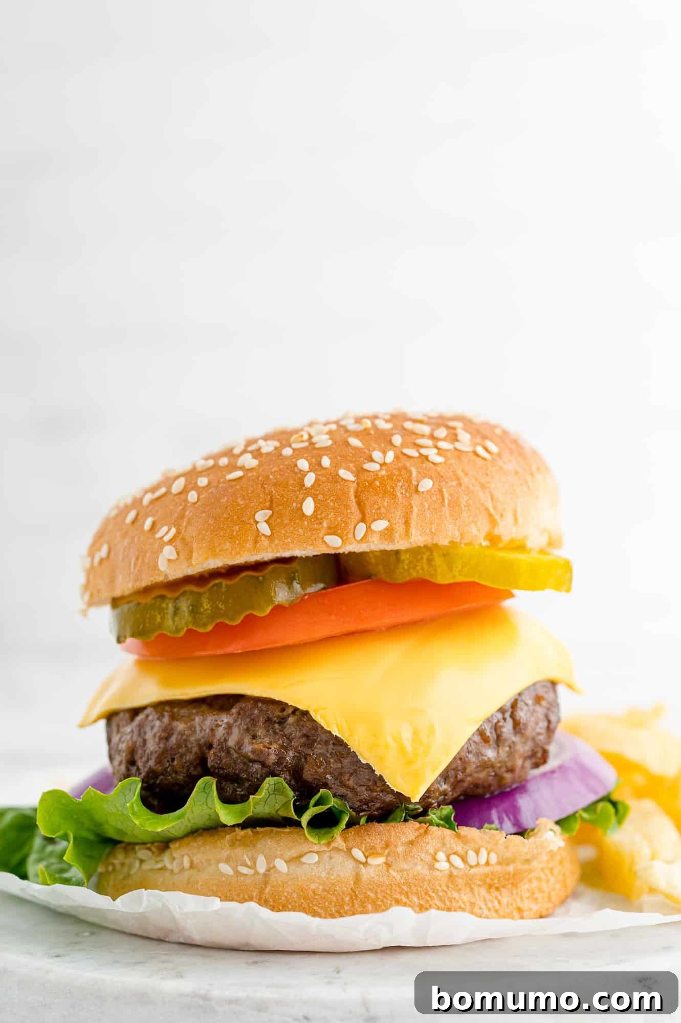 Burger with cheese. 